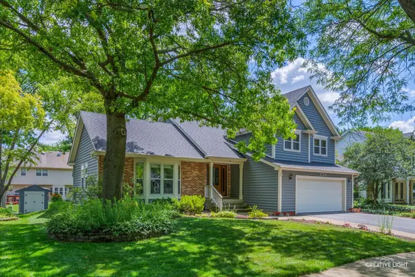 1234 Oakton LN, Naperville, IL 60540