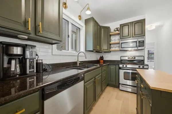 1333 N Bosworth AVE #2, Chicago, IL 60642