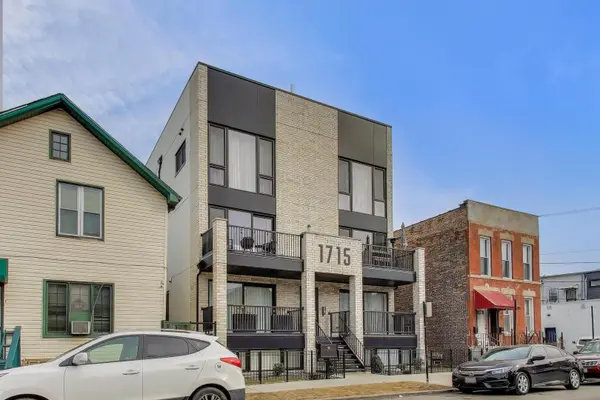 1715 S Morgan ST #2, Chicago, IL 60608