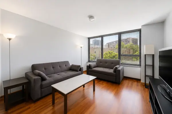 3930 N Pine Grove AVE #316, Chicago, IL 60613