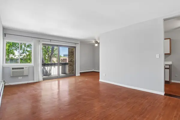 1806 Hemlock PL #303, Schaumburg, IL 60173