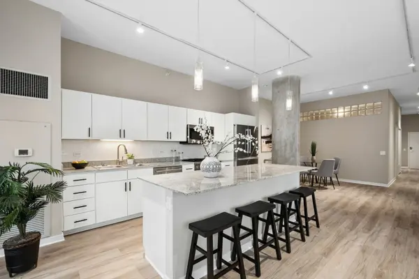 860 W Blackhawk ST #507, Chicago, IL 60642