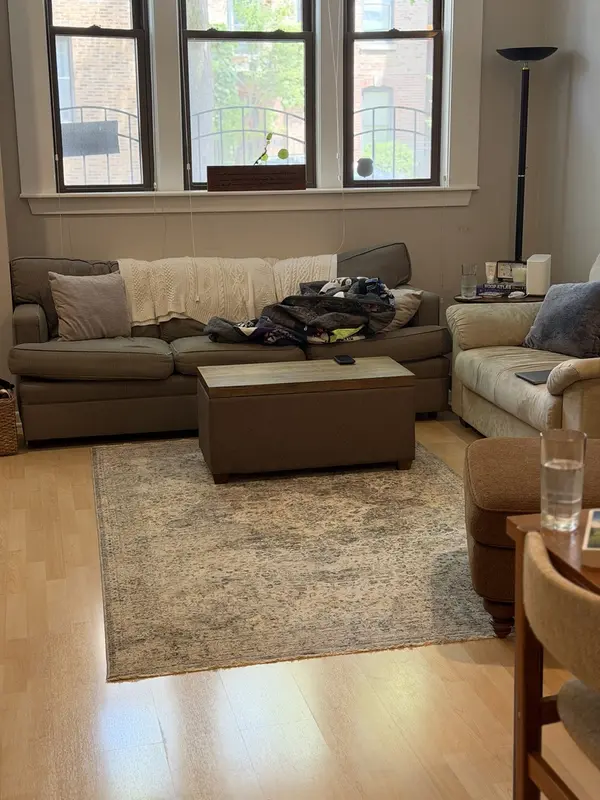 1419 W LEXINGTON ST, Chicago, IL 60607