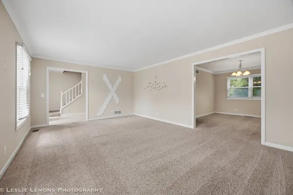 859 Evergreen AVE, Glen Ellyn, IL 60137