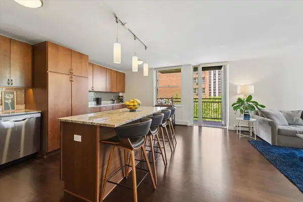 3033 N Sheridan RD #601, Chicago, IL 60657