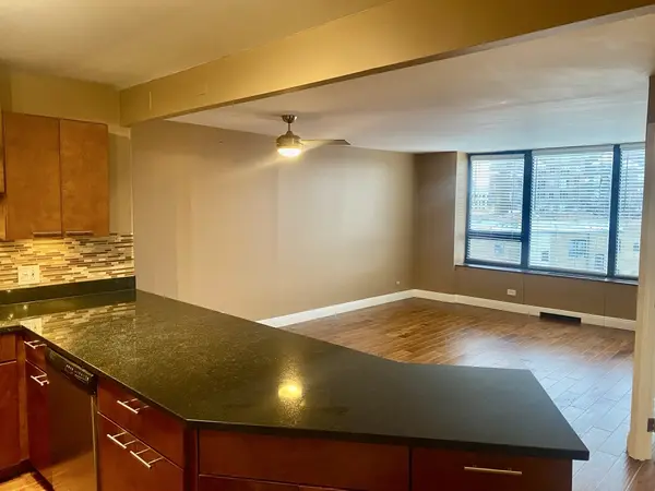 3930 N Pine Grove AVE #514, Chicago, IL 60613