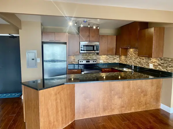 3930 N Pine Grove AVE #514, Chicago, IL 60613