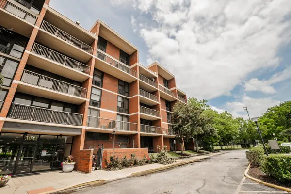 3041 S Michigan AVE #511, Chicago, IL 60616