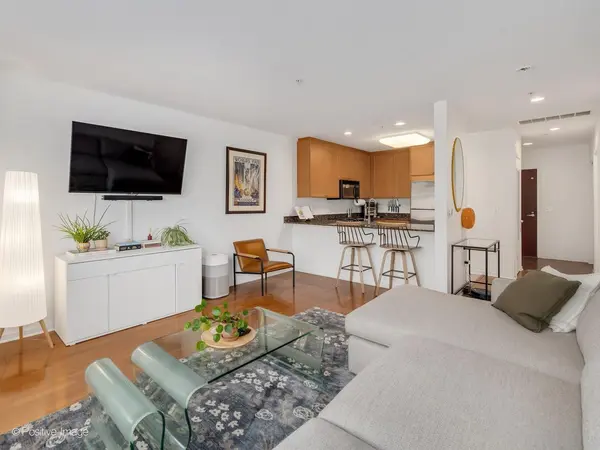 125 N Euclid AVE #204, Oak Park, IL 60301