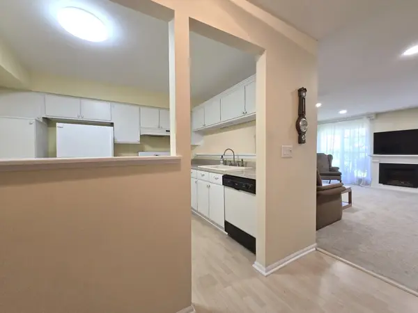 727 Shady Oaks CT #727, Elgin, IL 60120