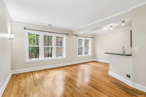 219 N Oak Park AVE #2E, Oak Park, IL 60302