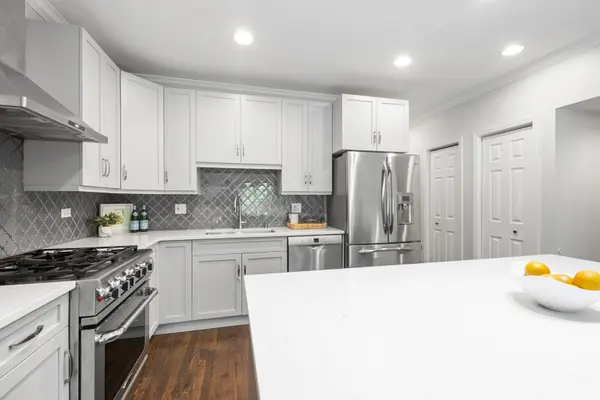 1734 W Pierce AVE #1, Chicago, IL 60622