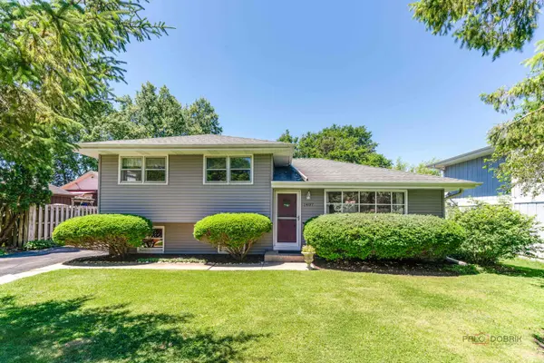 1407 Washington ST, Lake In The Hills, IL 60156