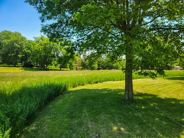 201 N Vermillion ST, Troy Grove, IL 61372