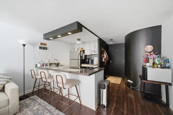 1221 N Dearborn ST #608S, Chicago, IL 60610