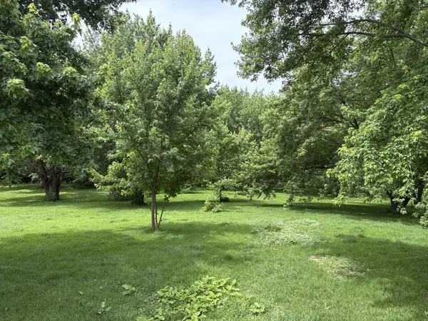 24830 S Hemphill DR, Elwood, IL 60421