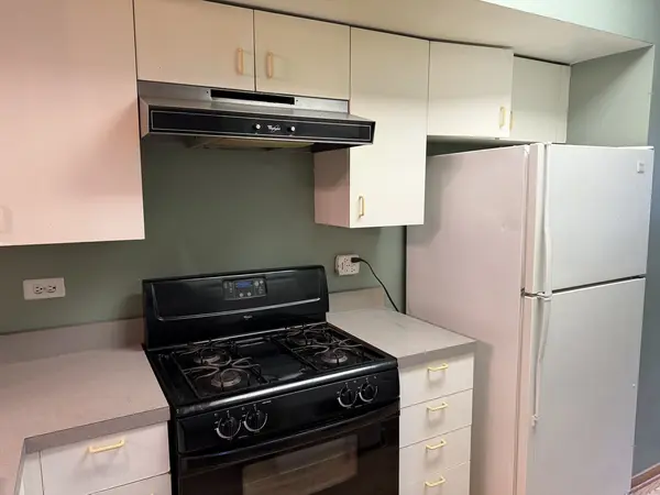 727 S ASHLAND AVE #C, Chicago, IL 60607