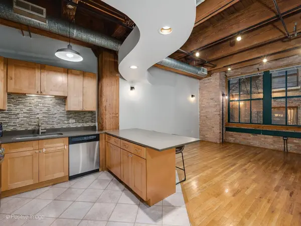 732 S Financial PL #411, Chicago, IL 60605