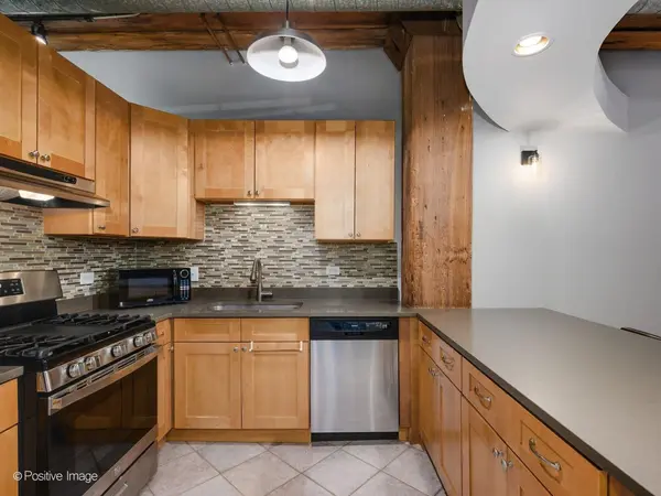732 S Financial PL #411, Chicago, IL 60605