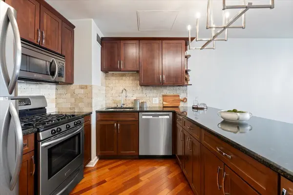 1150 N Lake Shore DR #24C, Chicago, IL 60611