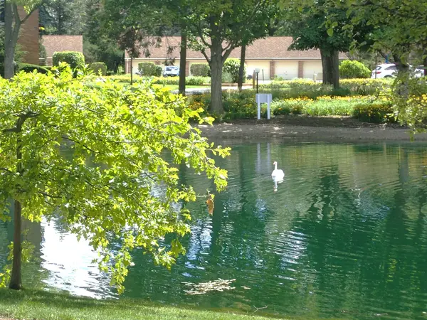 1127 S Old Wilke RD #101, Arlington Heights, IL 60005