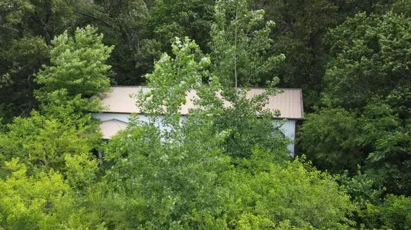 2658 N 2500 East RD,  Donovan,  IL 60931