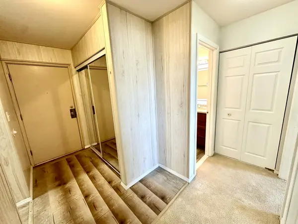 1880 Bonnie LN #203, Hoffman Estates, IL 60169