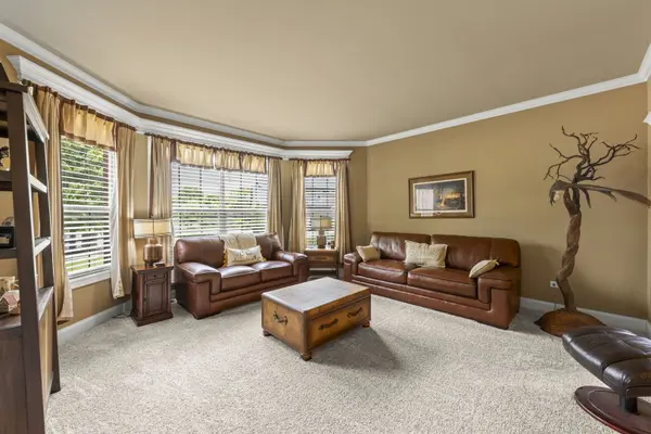 16022 S Selfridge CIR, Plainfield, IL 60586