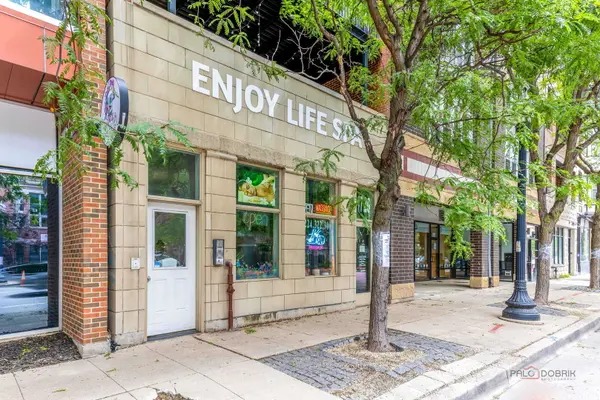1720 W Belmont AVE #2, Chicago, IL 60657