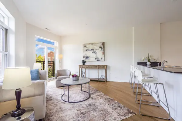 1451 S Halsted ST #3B, Chicago, IL 60607