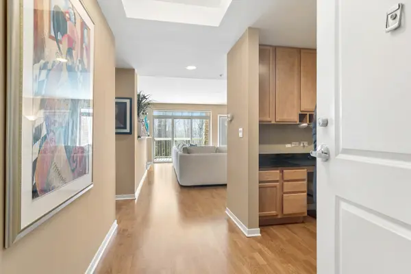425 BENJAMIN DR #202, Vernon Hills, IL 60061