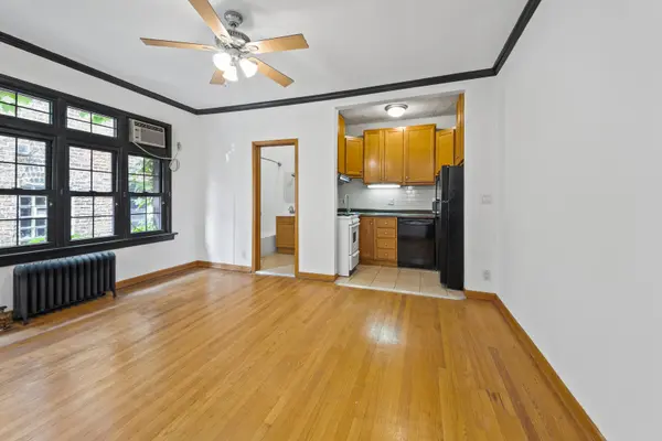 1127 W Farwell AVE #206, Chicago, IL 60626