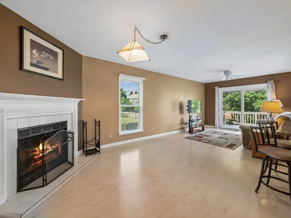 317 W Harvard CIR, South Elgin, IL 60177