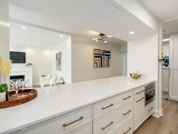 1310 N Ritchie CT #27B, Chicago, IL 60610