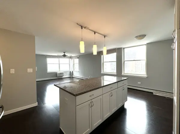 3033 N SHERIDAN RD #1505, Chicago, IL 60657