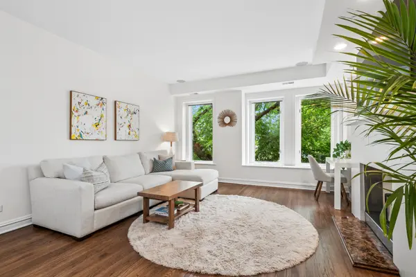 317 W WEBSTER AVE #2, Chicago, IL 60614
