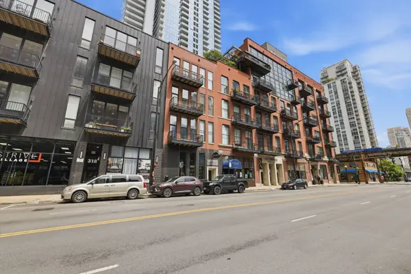 300 W Grand AVE #203, Chicago, IL 60654