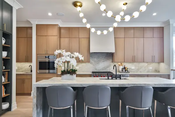 2455 W Belle Plaine AVE, Chicago, IL 60618