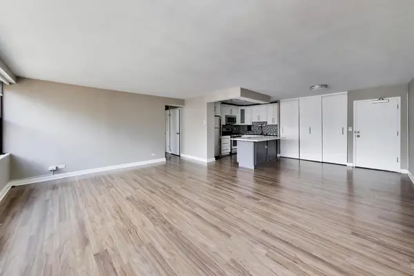 850 N DEWITT PL #20A, Chicago, IL 60611