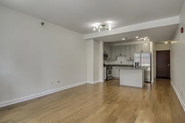 1250 S Michigan AVE #508, Chicago, IL 60605