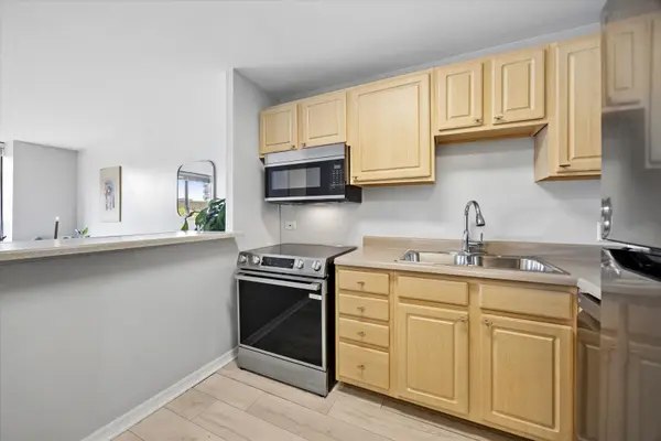 3930 N Pine Grove AVE #306, Chicago, IL 60613