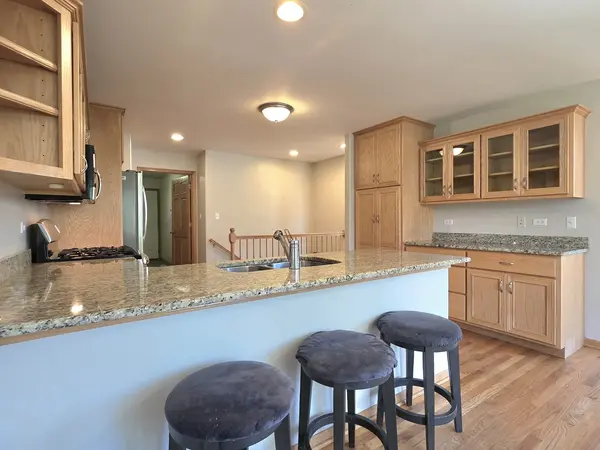 19604 Crested Butte LN, Mokena, IL 60448