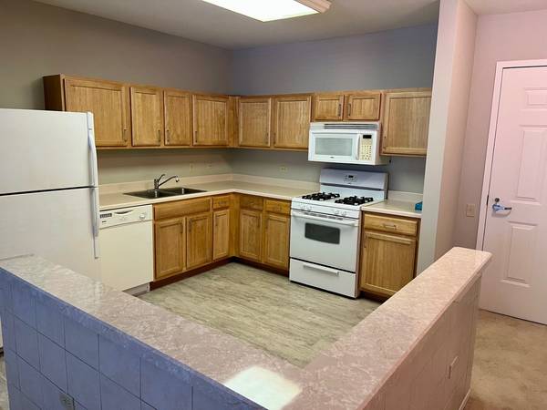 6710 S Keating AVE #201, Chicago, IL 60629