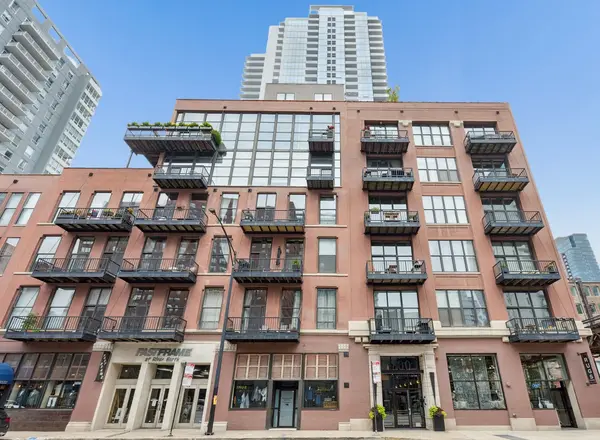 300 W Grand AVE #303, Chicago, IL 60654