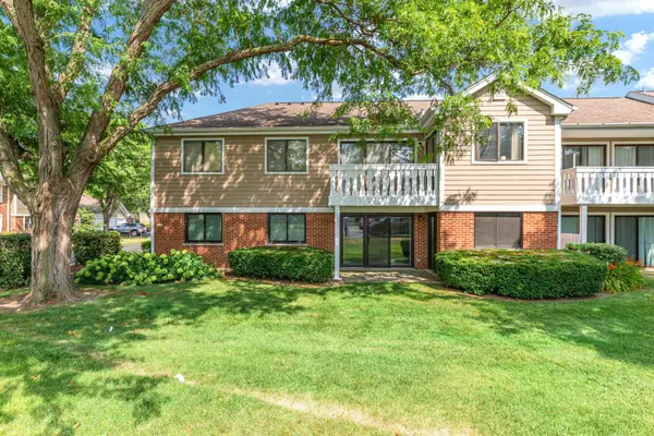 234 Deerpath CT #D1, Schaumburg, IL 60193