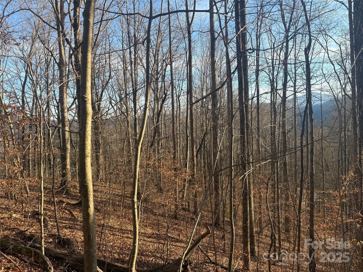 TBD Upward WAY #236 & 237, Waynesville, NC 28785