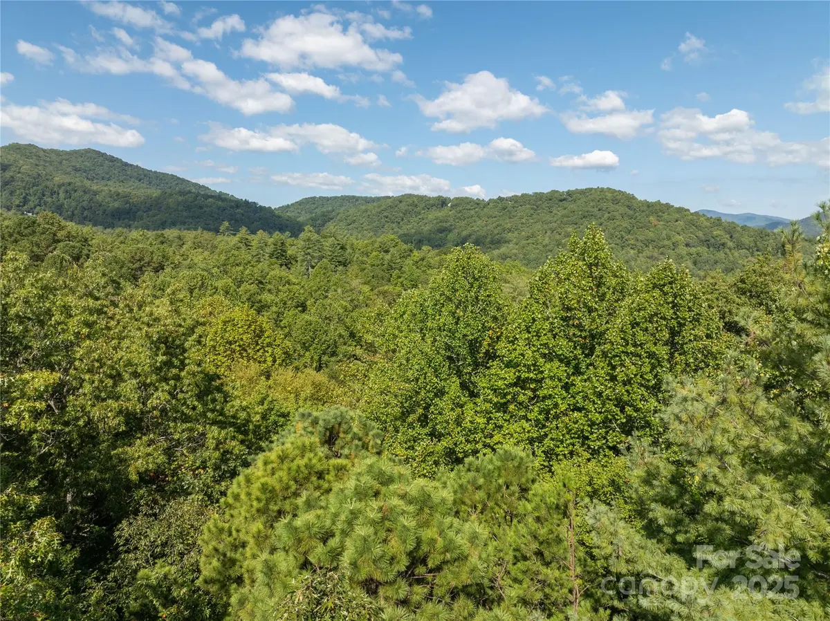 tbd Old Yellow Branch RD, Robbinsville, NC 28771