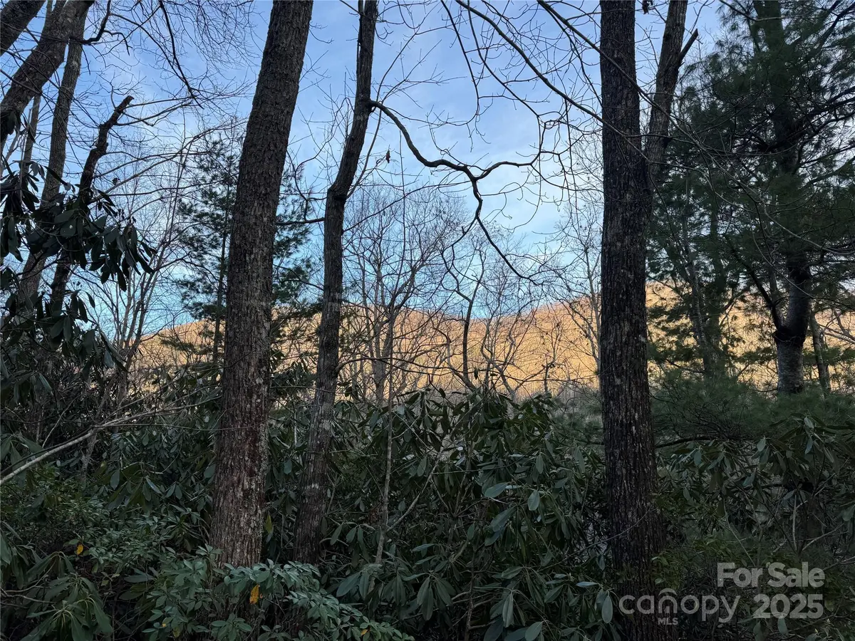 99999 Shenandoah TER, Montreat, NC 28757