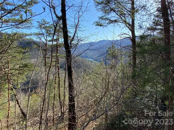 14 Blue Vista RD #14, Canton, NC 28716