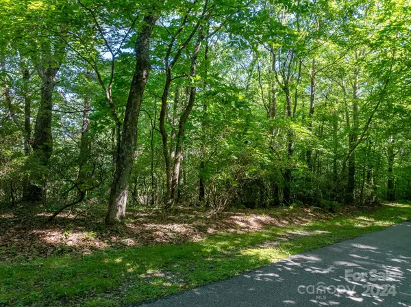 TBD Continental Divide RD #C3, Spruce Pine, NC 28777